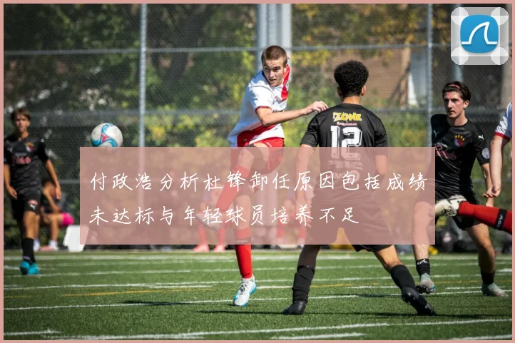 付政浩分析杜锋卸任原因包括成绩未达标与年轻球员培养不足